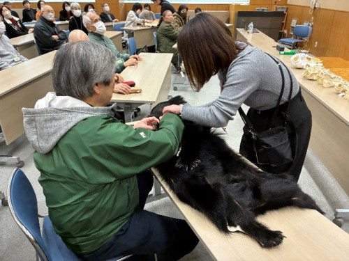 参加者が熊の毛皮を触っている様子。