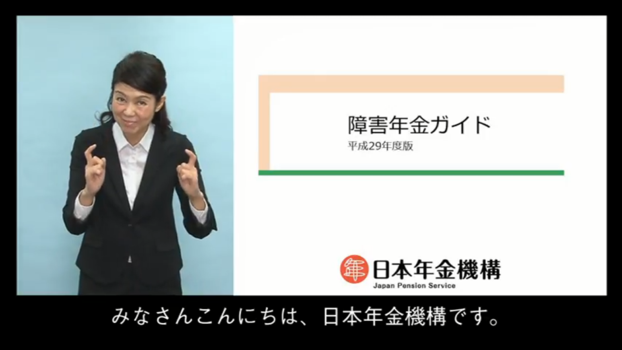 「障害年金ガイド」平成29年度版画像写真
